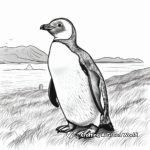 Magellanic Penguin At Seashore Coloring Pages 2