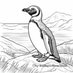Magellanic Penguin At Seashore Coloring Pages 3