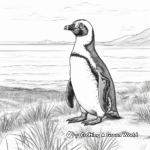 Magellanic Penguin At Seashore Coloring Pages 4