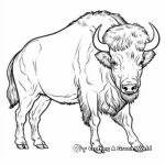 Magnificent Bison Bull Coloring Pages 1