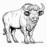 Magnificent Bison Bull Coloring Pages 2