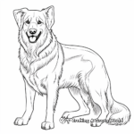 Majestic German Shepherd Coloring Pages 3