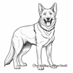 Majestic German Shepherd Coloring Pages 4