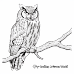 Majestic Great Horned Owl Coloring Pages 4