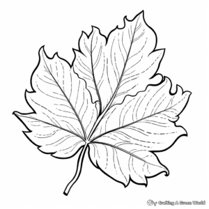 Majestic Sequoia Leaf Coloring Pages 2