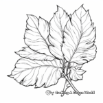 Majestic Sequoia Leaf Coloring Pages 3