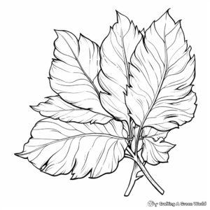 Majestic Sequoia Leaf Coloring Pages 3