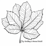 Majestic Sequoia Leaf Coloring Pages 4