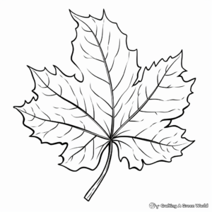 Maple Leaf Coloring Pages 2