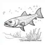 Mexican Barracuda Swimming in Ocean Coloring Page 1