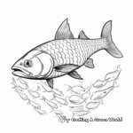 Mexican Barracuda Swimming in Ocean Coloring Page 2