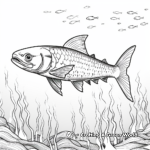 Mexican Barracuda Swimming in Ocean Coloring Page 3
