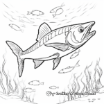 Mexican Barracuda Swimming in Ocean Coloring Page 4