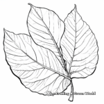 Naturalistic Detailed Poinsettia Coloring Pages 2