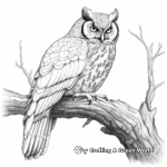 Northern Spotted Owl Coloring Pages 3