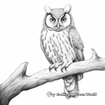 Northern Spotted Owl Coloring Pages 4