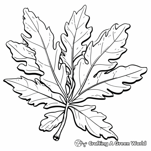 Leaf Coloring Pages - Free &amp; Printable!