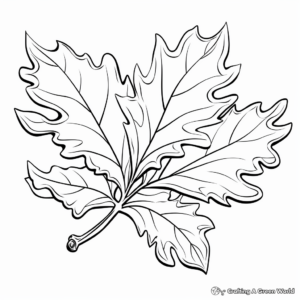 Oak Leaf Coloring Pages 3