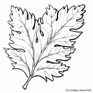 Oak Leaf Coloring Pages 4