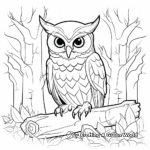 Outlandish Owl Coloring Pages for Adults 3