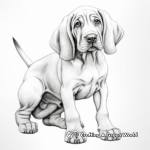 Playful Bloodhound Puppy Coloring Pages 3