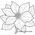 Poinsettia and Holiday Elements Coloring Pages 2
