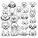 Poodles in Various Poses Coloring Pages 3