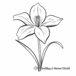 Rain Lily in Bloom: Botanical Coloring Pages 1