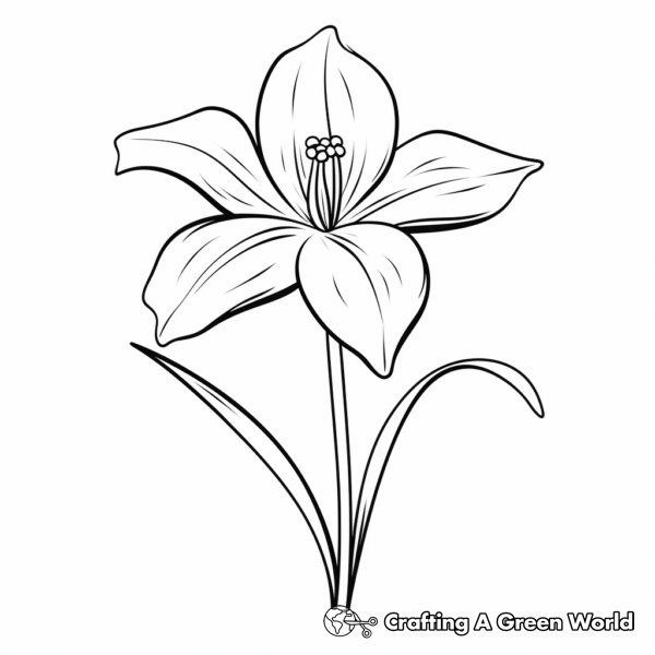 Lily Coloring Pages - Free &amp; Printable!