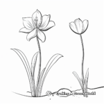 Rain Lily in Bloom: Botanical Coloring Pages 3