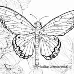 Rainforest Insect Coloring Pages 4