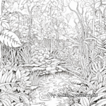 Rainforest Layers Coloring Pages 2
