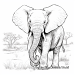 Realistic African Elephant Coloring Pages 4