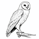 Realistic Barn Owl Coloring Pages 1
