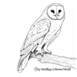 Realistic Barn Owl Coloring Pages 2