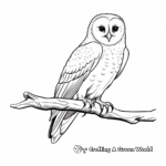 Realistic Barn Owl Coloring Pages 3