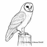 Realistic Barn Owl Coloring Pages 4