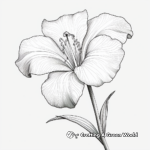 Realistic Daylily Coloring Pages for Advanced Colorists 1