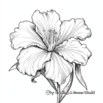 Realistic Daylily Coloring Pages for Advanced Colorists 2