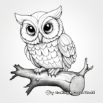 Realistic Elf Owl Illustration Coloring Pages 3