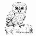 Realistic Elf Owl Illustration Coloring Pages 4