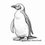 Realistic Galapagos Penguin Coloring Pages 3