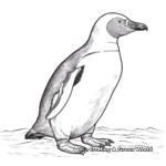Realistic Galapagos Penguin Coloring Pages 4