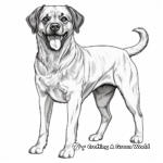 Realistic Rottweiler Coloring Pages for Older Kids 2