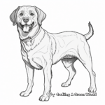 Realistic Rottweiler Coloring Pages for Older Kids 3