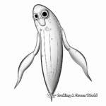 Realistic Squid Coloring Images for Kids 1