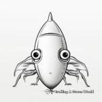 Realistic Squid Coloring Images for Kids 2
