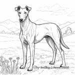Retired Greyhound Experience Coloring Pages 1
