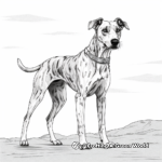 Retired Greyhound Experience Coloring Pages 2