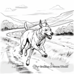 Running Greyhound Action Shot Coloring Pages 1